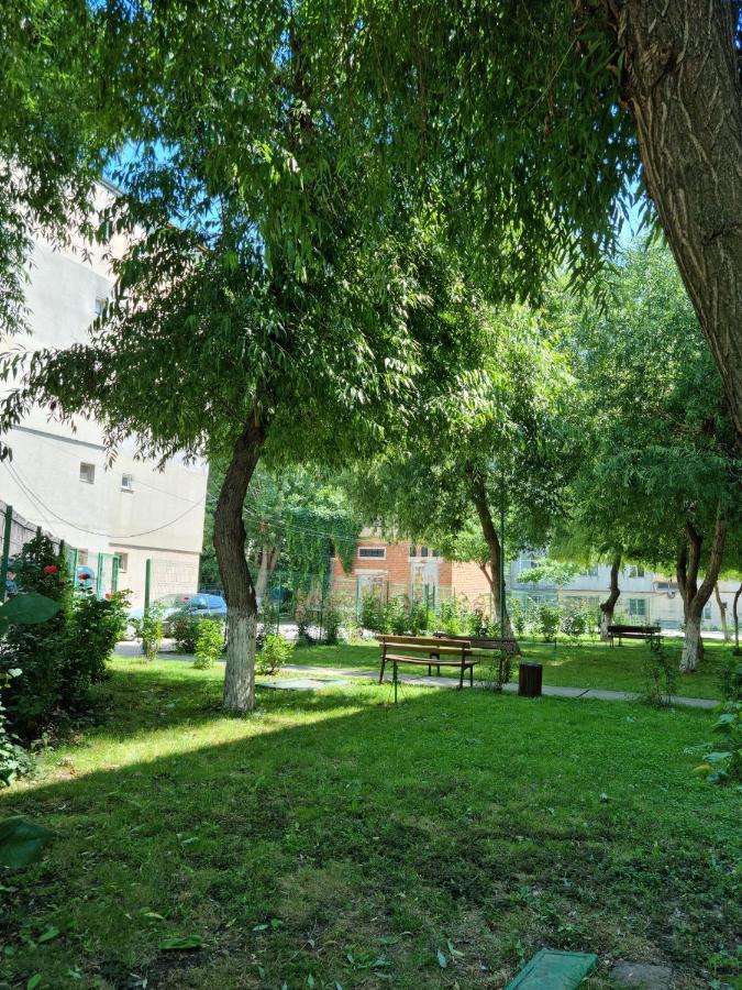 Garsoniere Aby Apartment Turnu Magurele Luaran gambar
